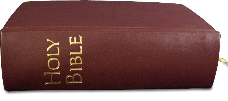 Holy Bible Side View png transparent