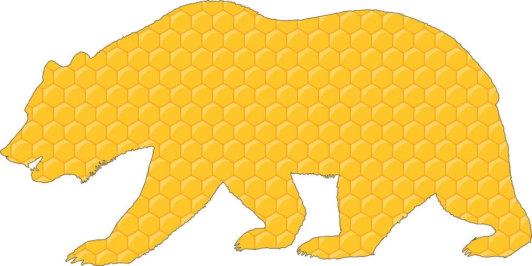 Honeycomb Bear With Stroke png transparent