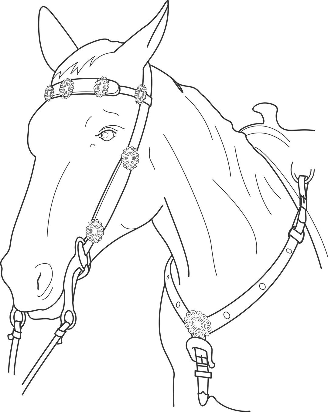 Horse Chest Plate png transparent