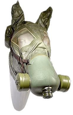 Horse Gas Mask png transparent