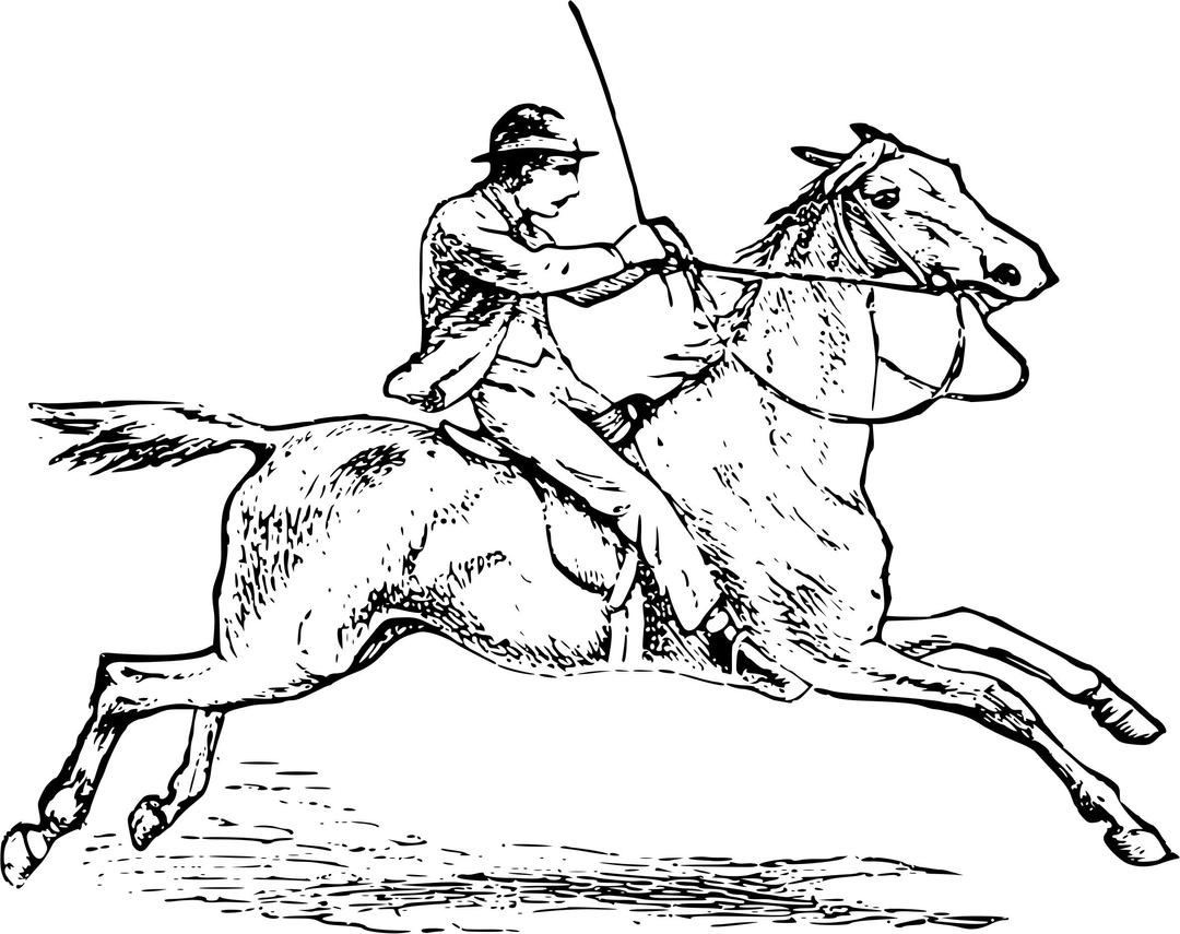 Horse Riding png transparent