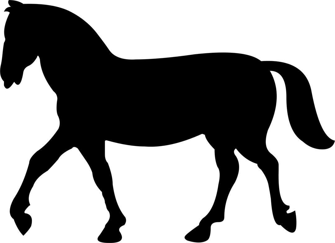 Horse Silhouette 2 png transparent