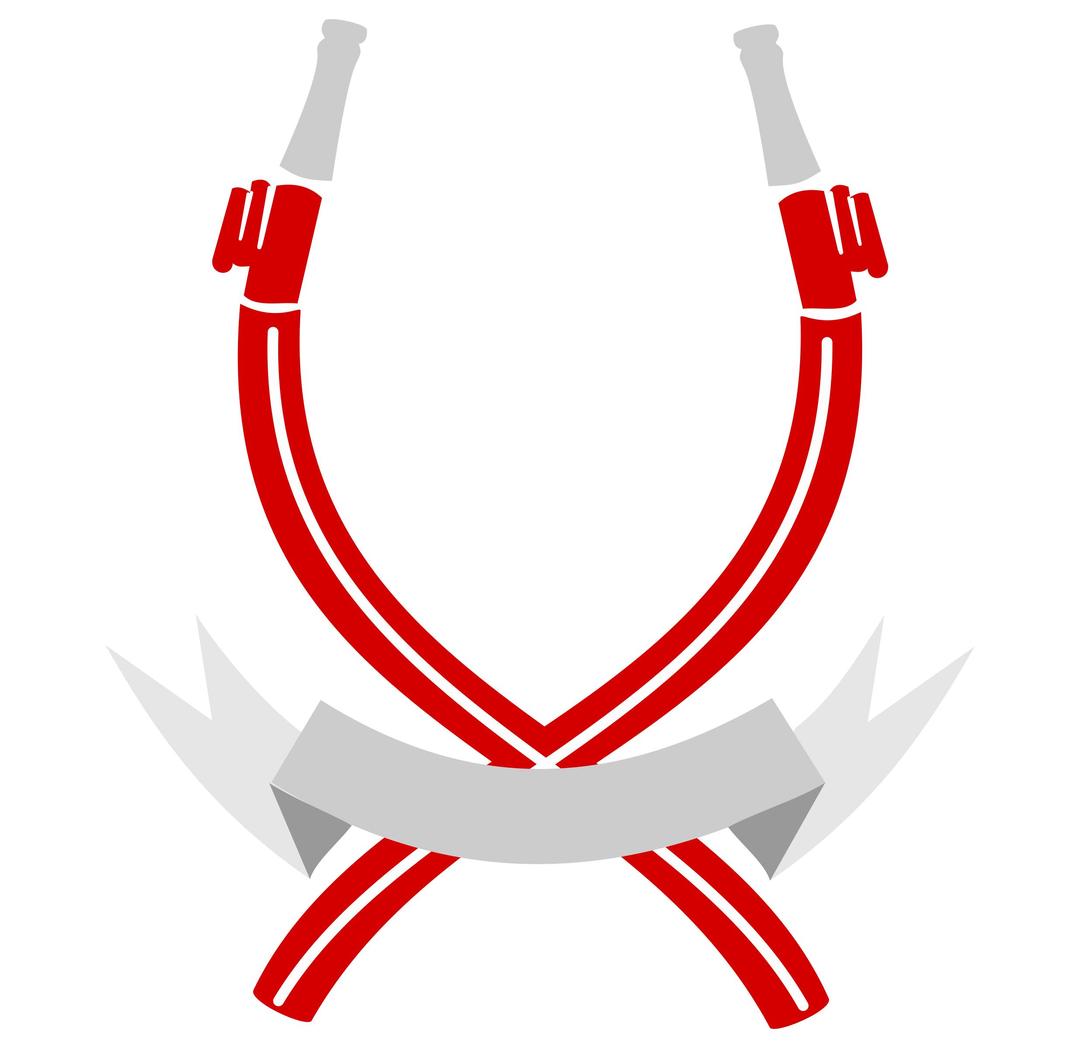 Hoses and Ribbons png transparent