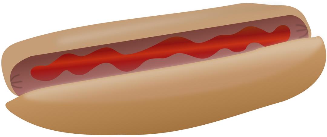 Hot dog with ketchup png transparent