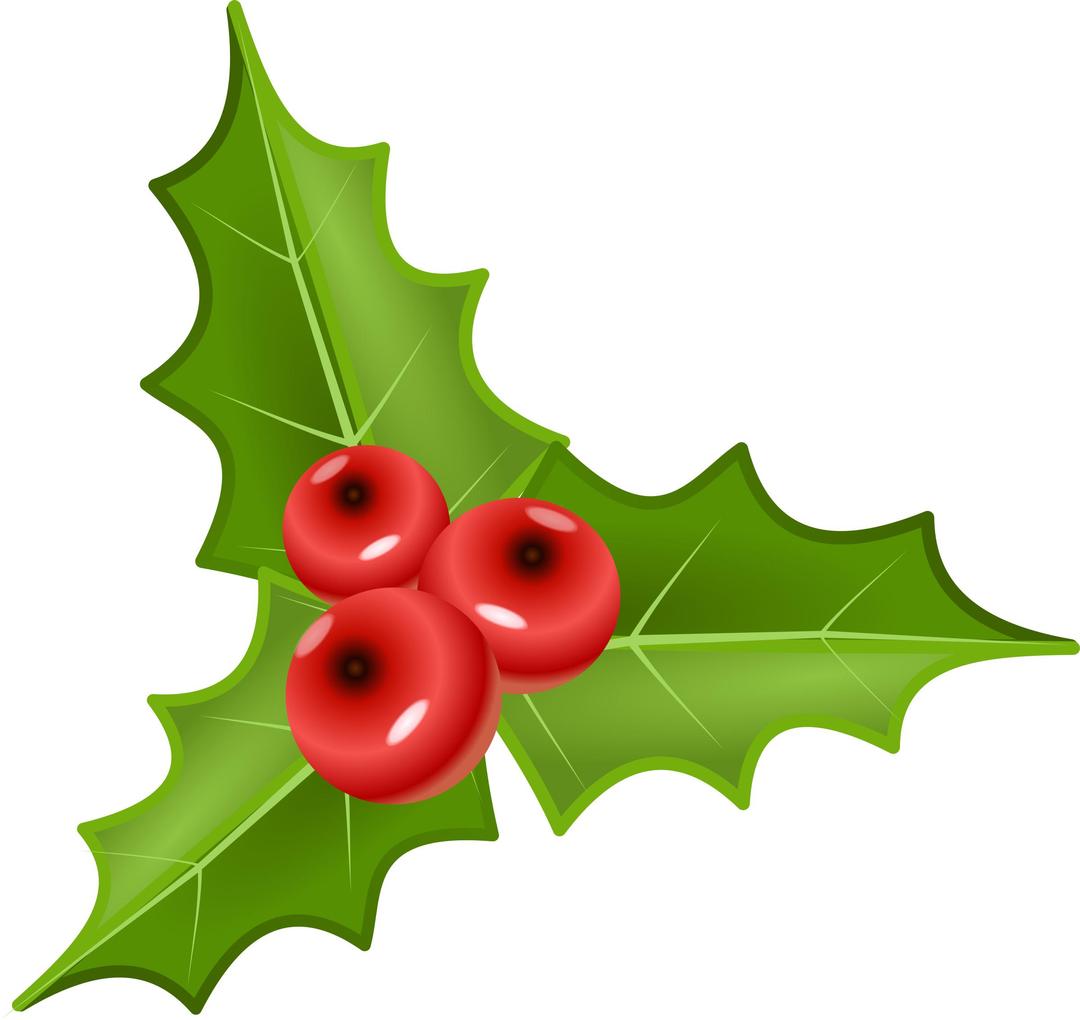 houx, holly png transparent