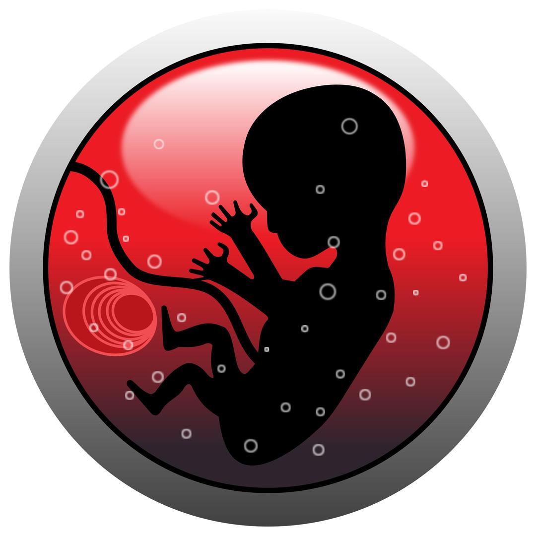 Human embryo (silhouette) png transparent