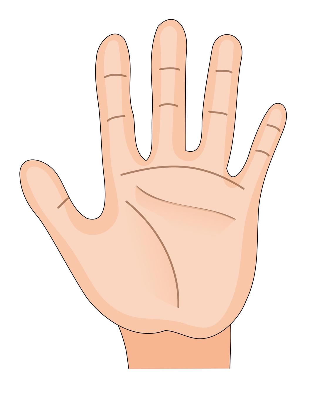 Human hand palm inside png transparent