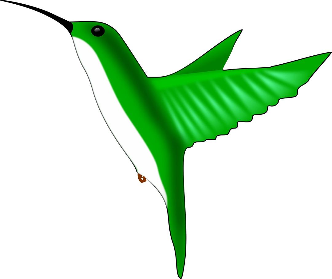 humming-bird png transparent