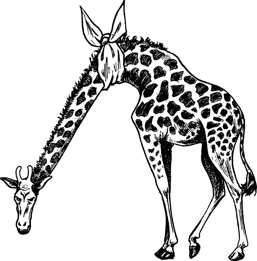 Hurt Neck Giraffe png transparent
