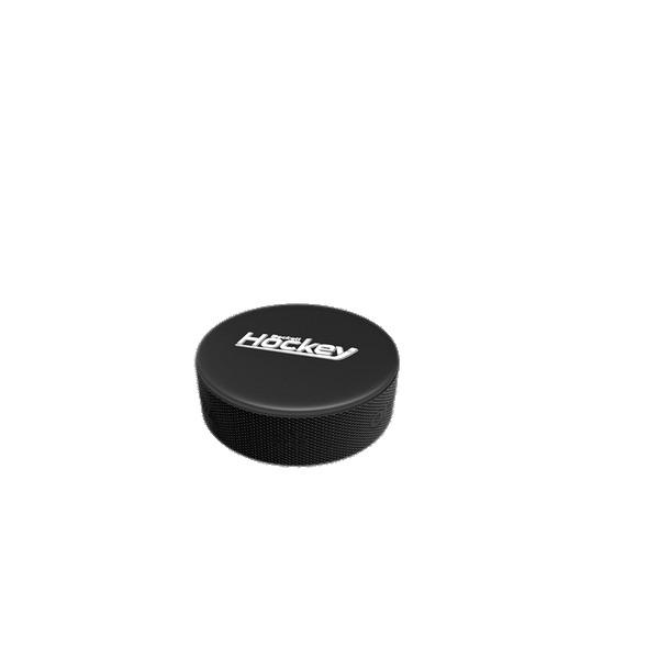 Ice Hockey Puck png transparent