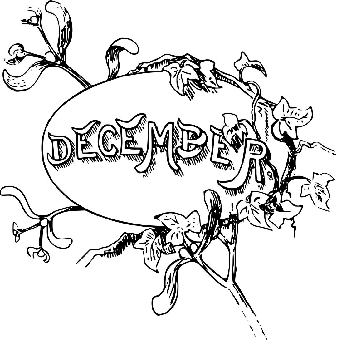Illustrated months (December) png transparent