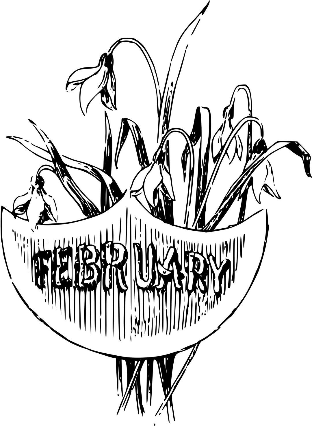 Illustrated months (February) png transparent