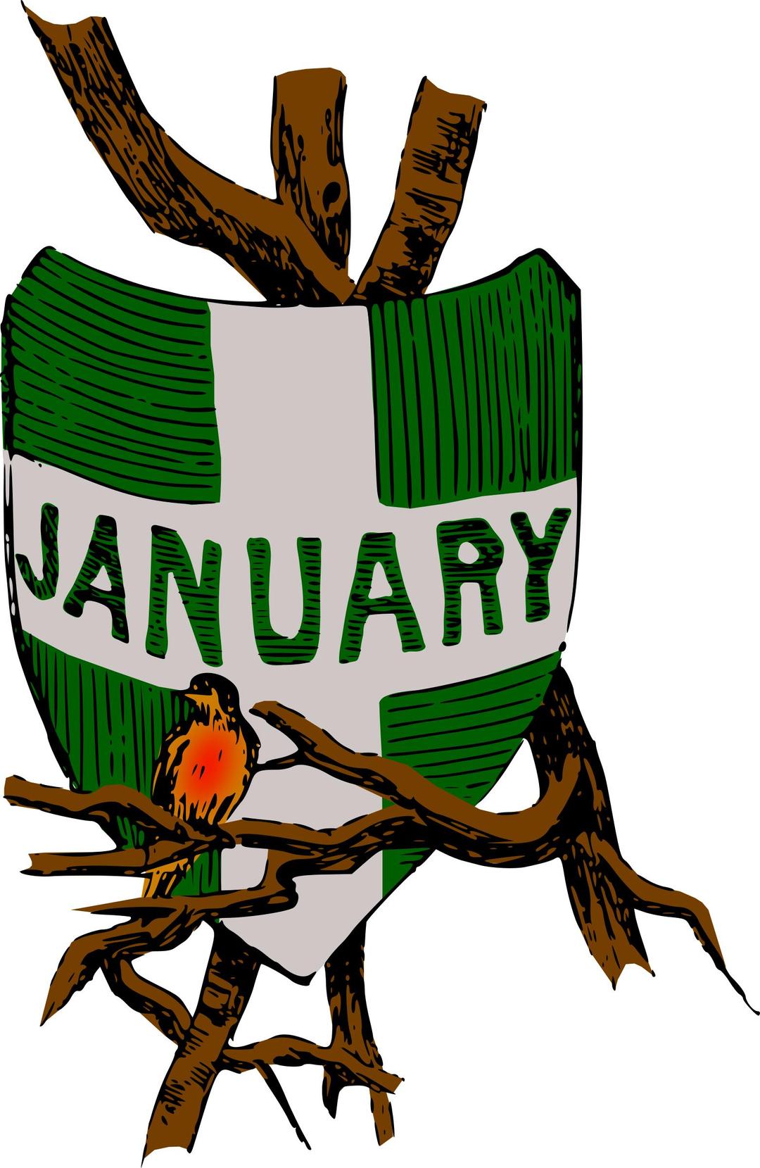 Illustrated months (January, colour) png transparent