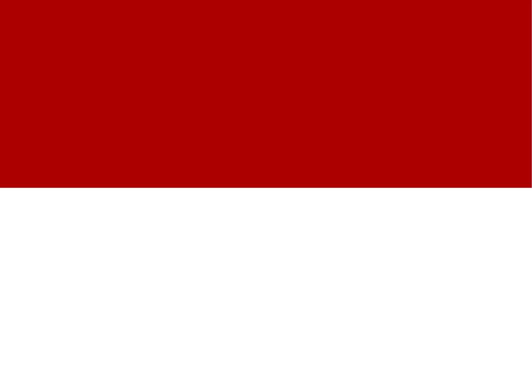 Indonesian Flag png transparent