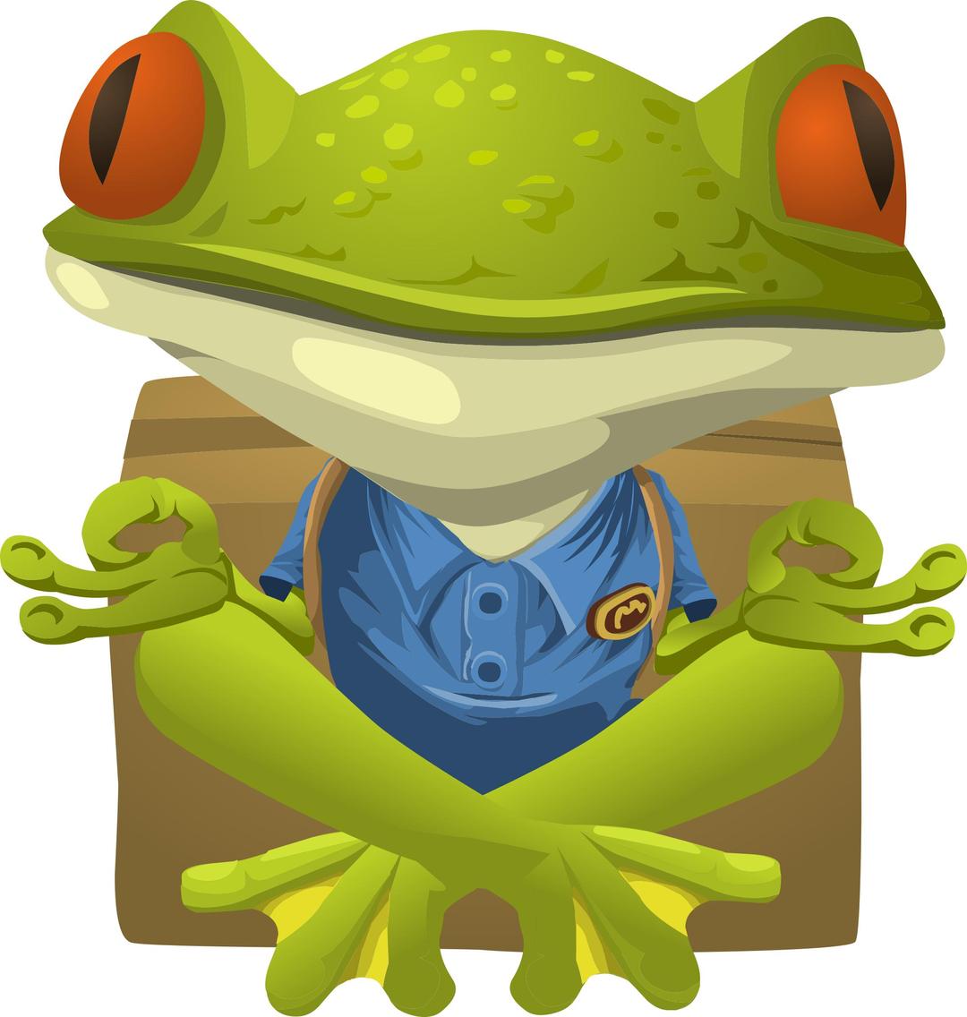 Inhabitants Npc Yoga Frog png transparent