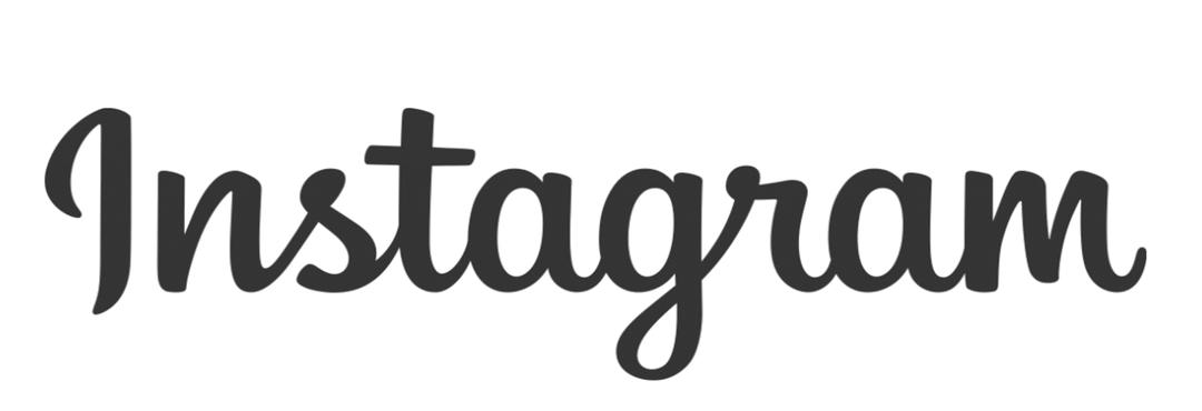 Instagram Text Logo png transparent