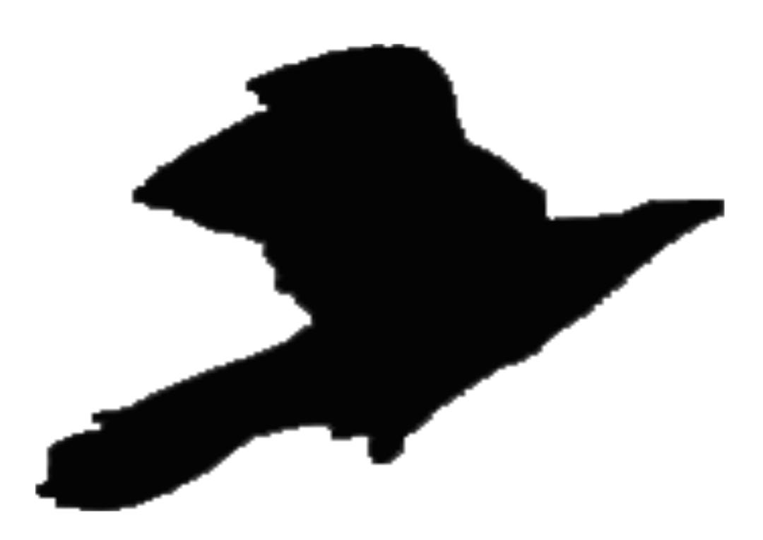 Ireland Crow silhouette png transparent