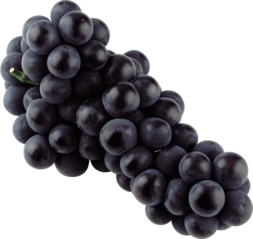 Isolated Blue Grape png transparent