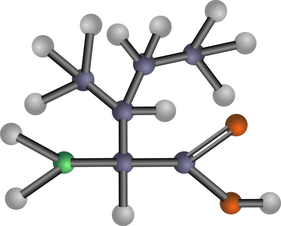 Isoleucine (amino acid) png transparent