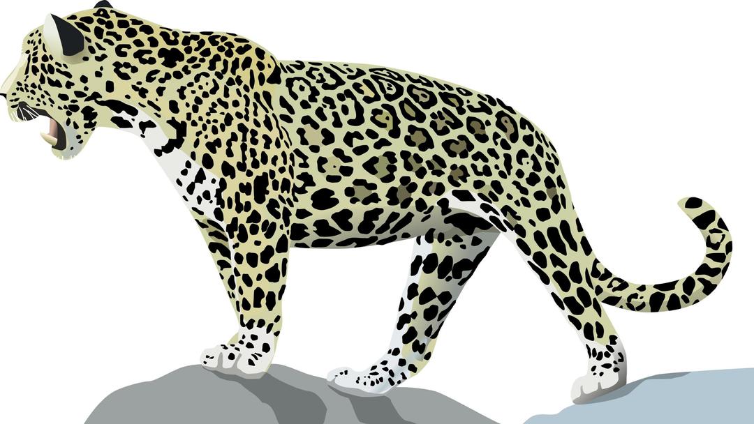 Jaguar png transparent