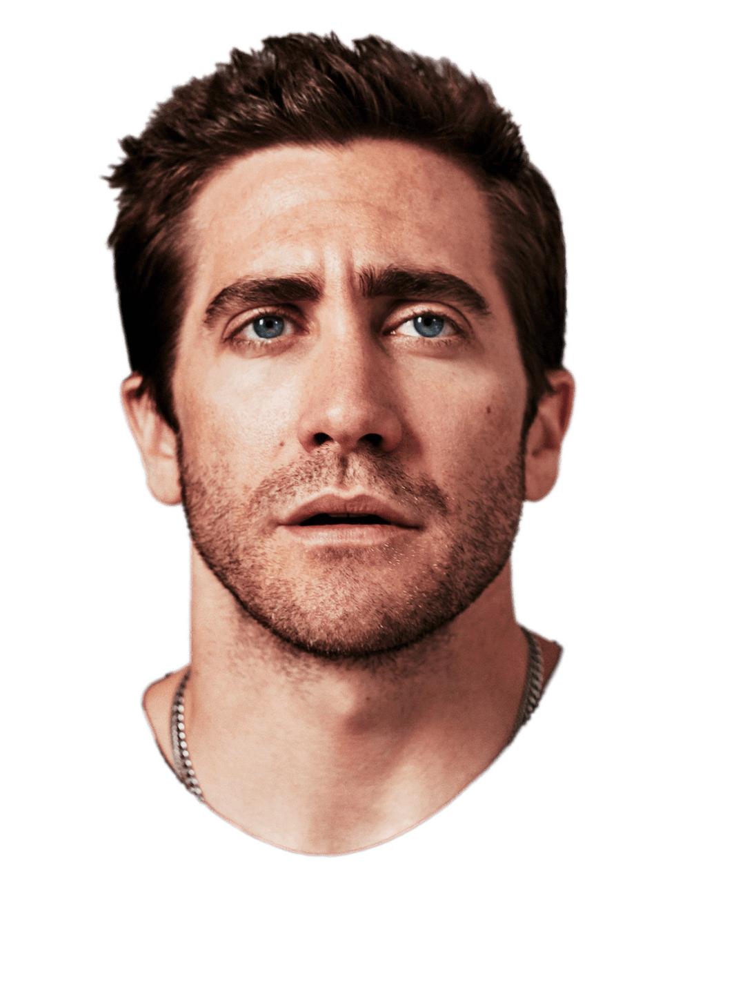 Jake Gyllenhaal Looking Up png transparent
