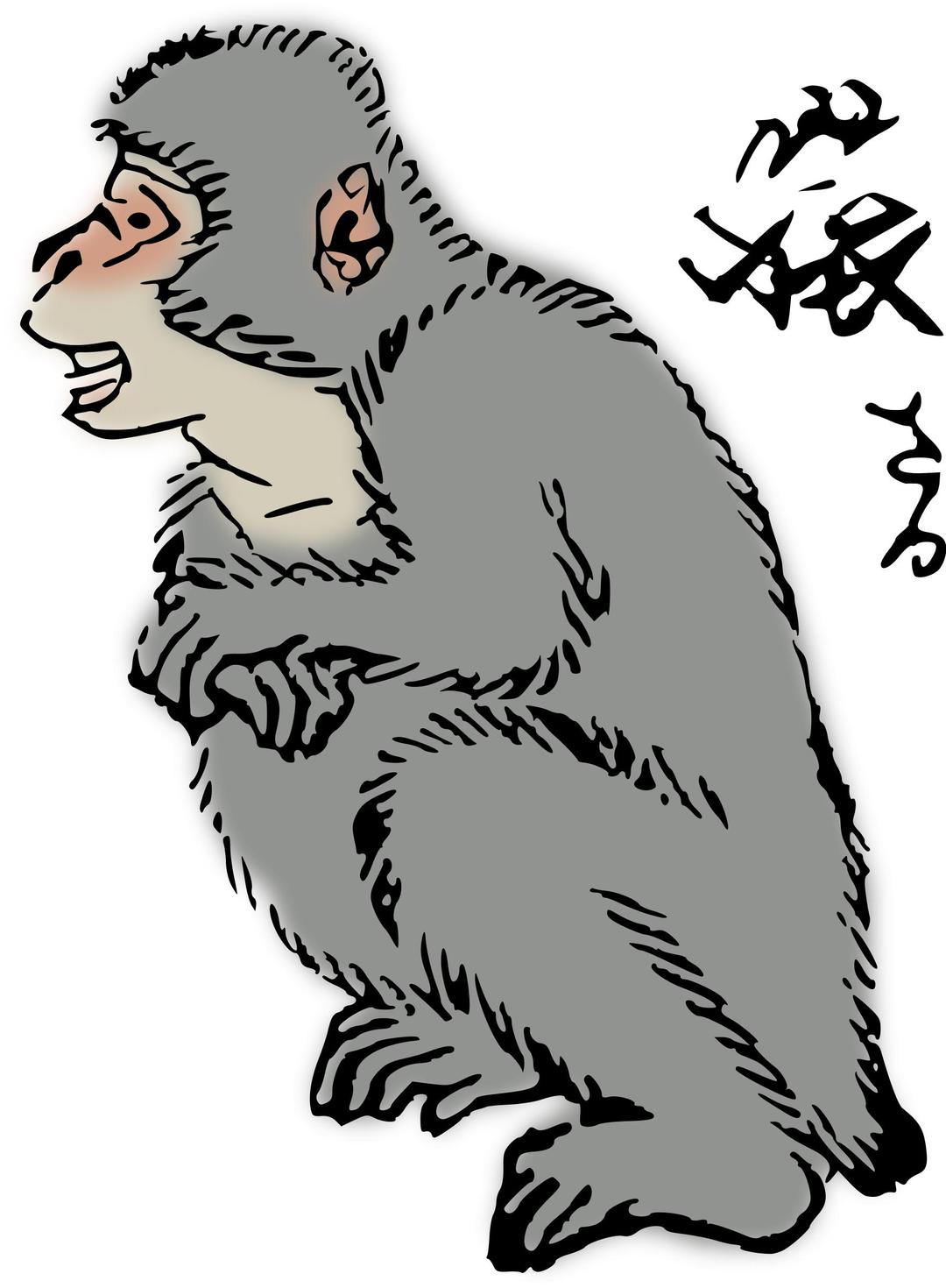 Japanese Macaque png transparent