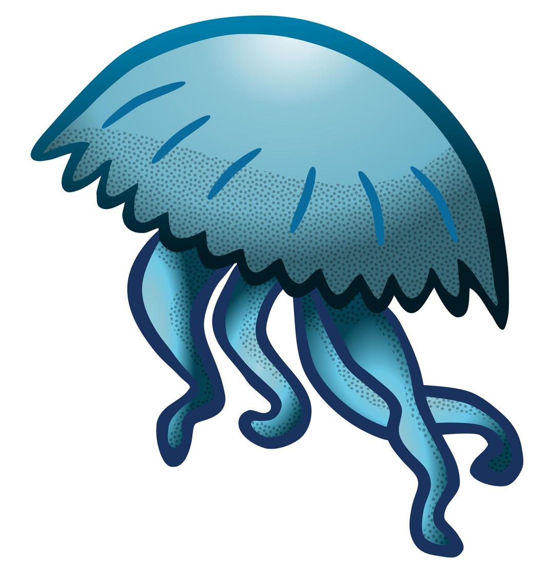 jellyfish - coloured png transparent