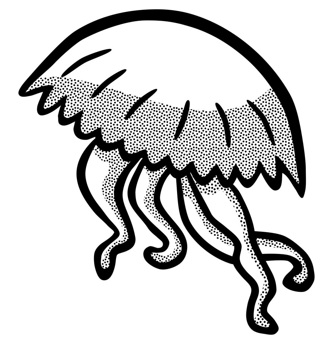 jellyfish - lineart png transparent