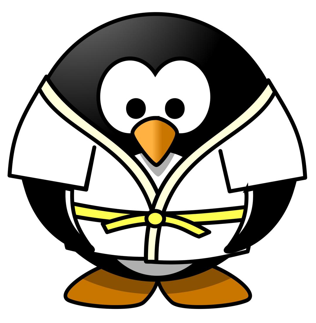 Judo Penguin png transparent