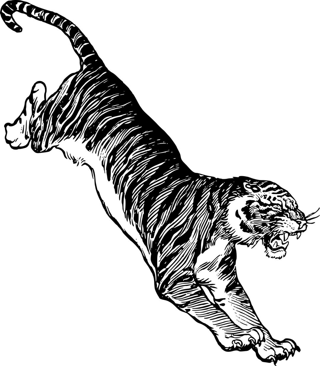 Jumping Tiger png transparent