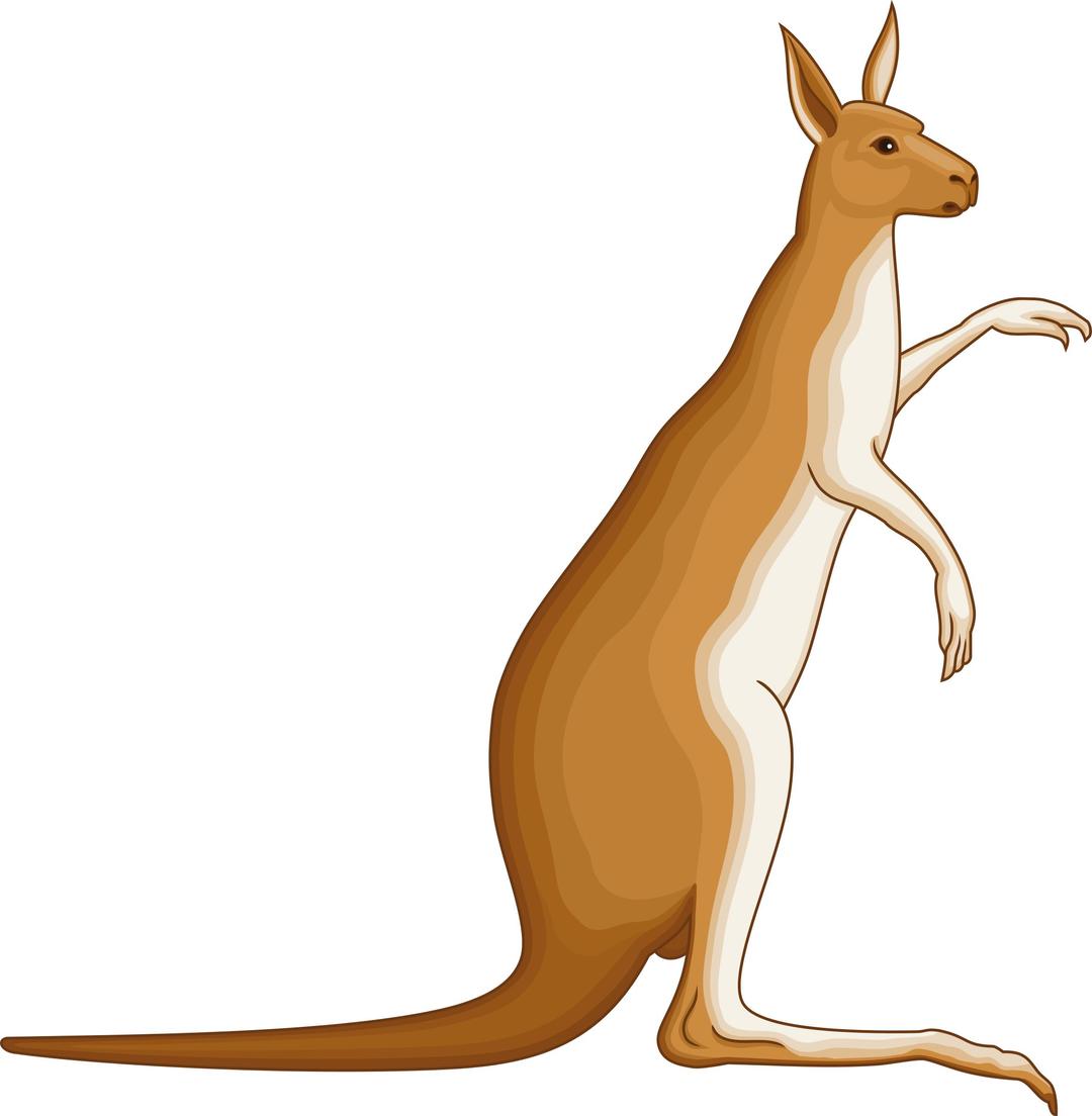 Kangaroo 4 png transparent
