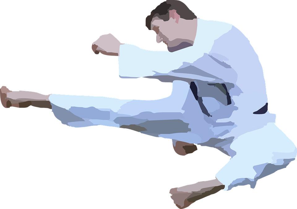 Karate Clipart Silhouette png transparent
