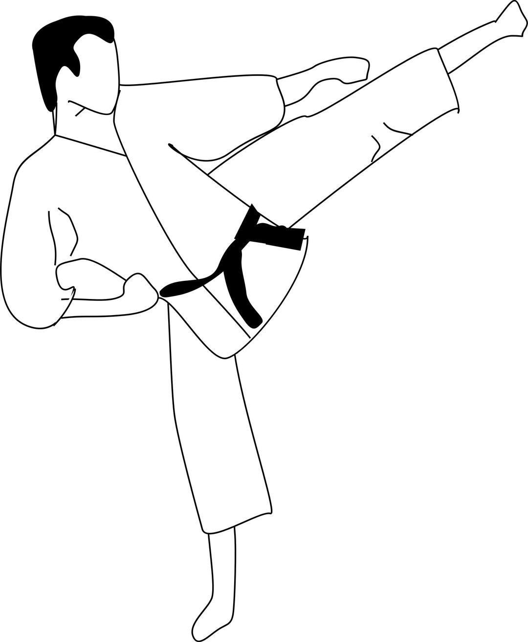 Karate kick png transparent