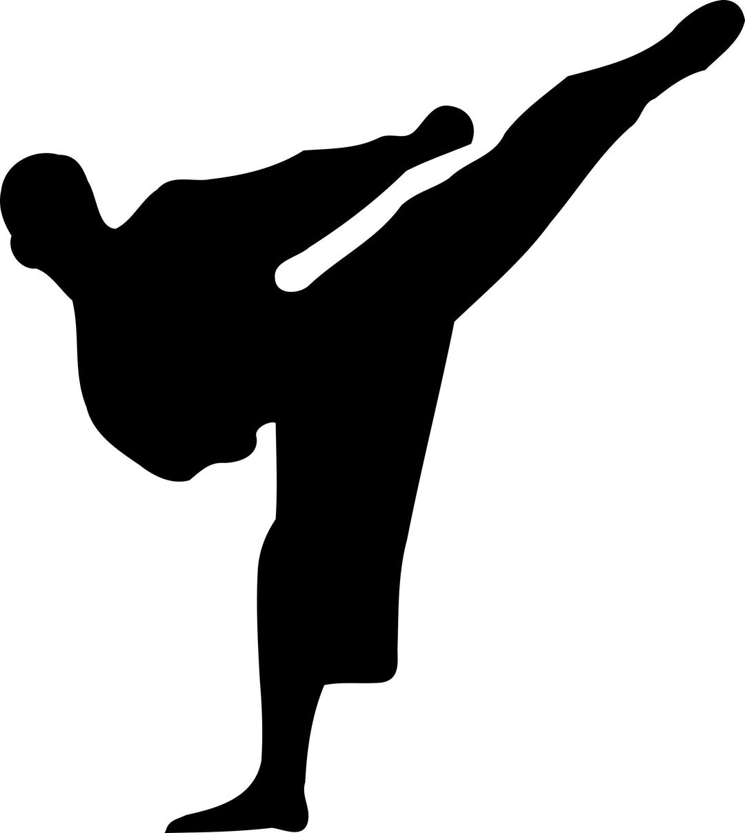 Karate silhouette png transparent