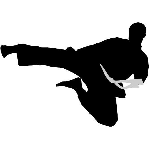 Karate Silhouette png transparent