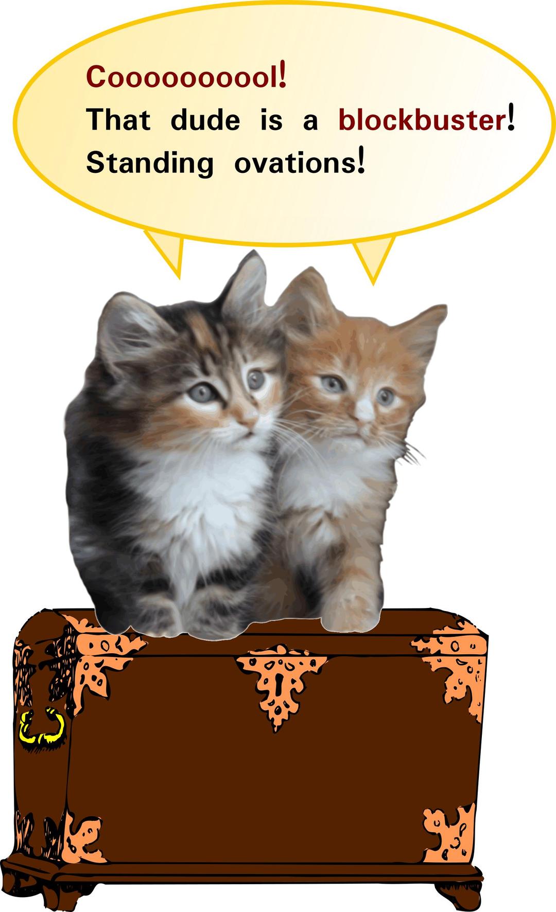 kittens full of deep admiration png transparent