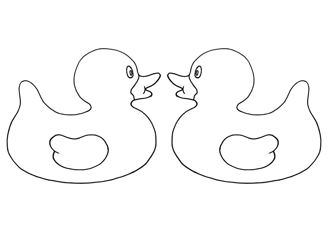 K's Pair of Ducks / Paradox png transparent