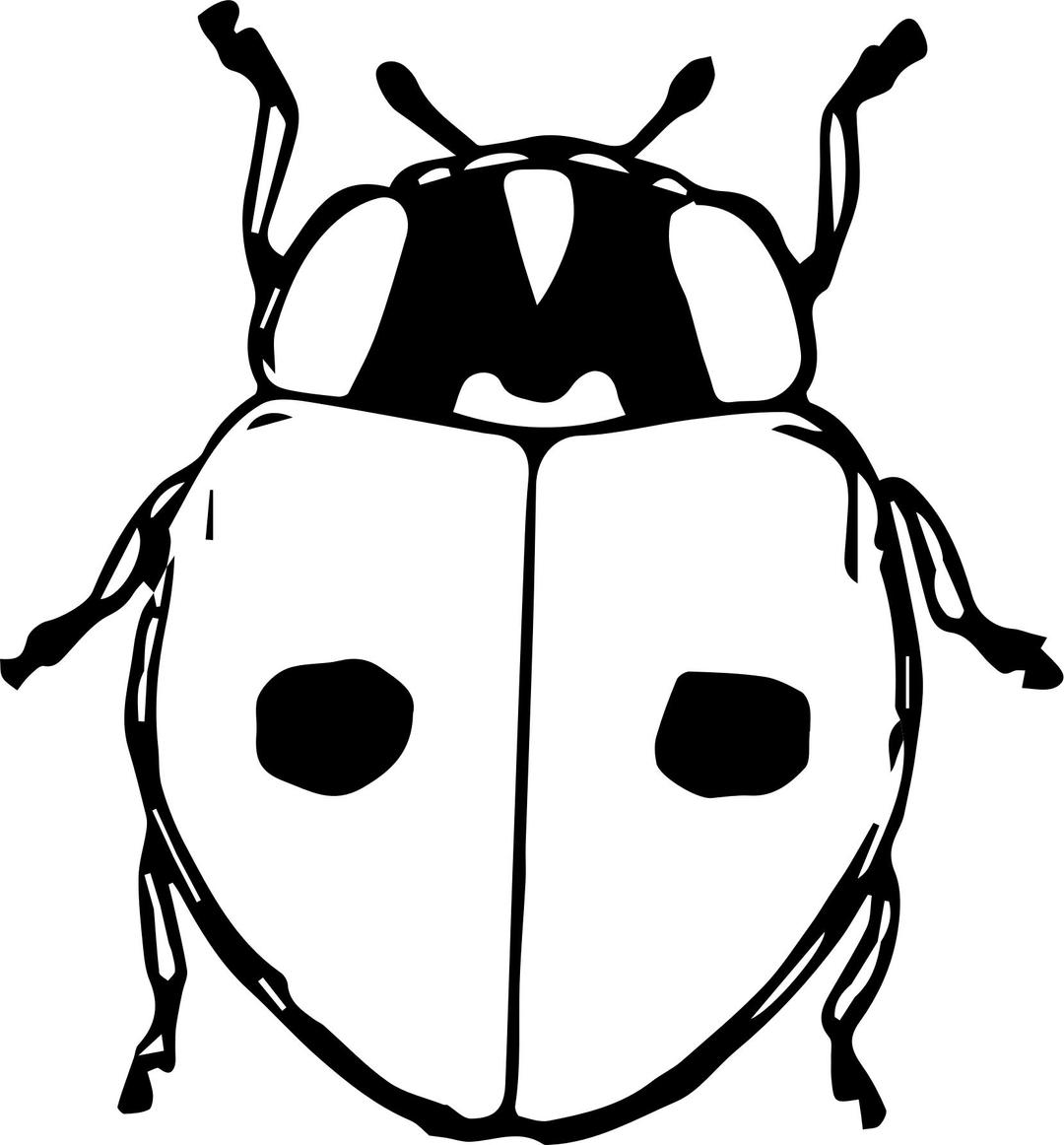 Lady Beetle png transparent