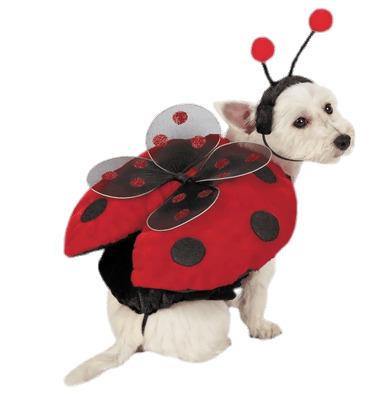 Lady Bug Costume For Dogs png transparent