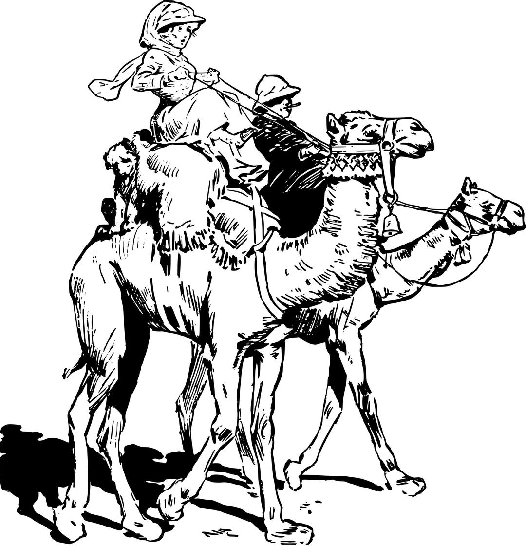 Lady on Camel png transparent