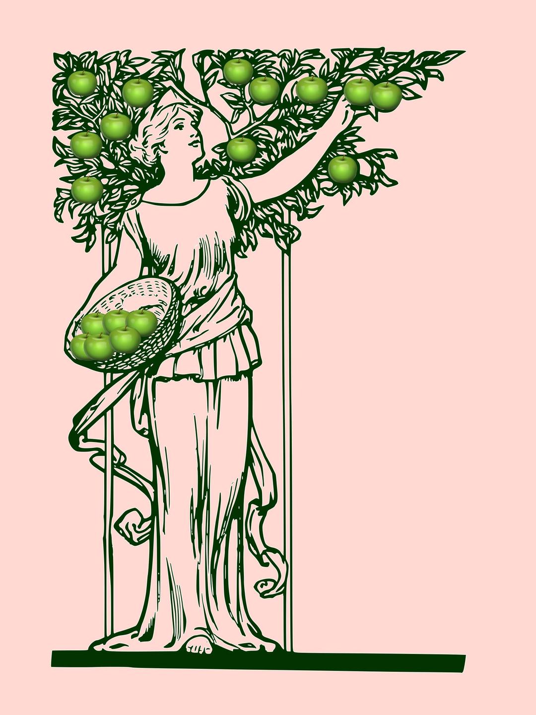 lady picking greenapple png transparent