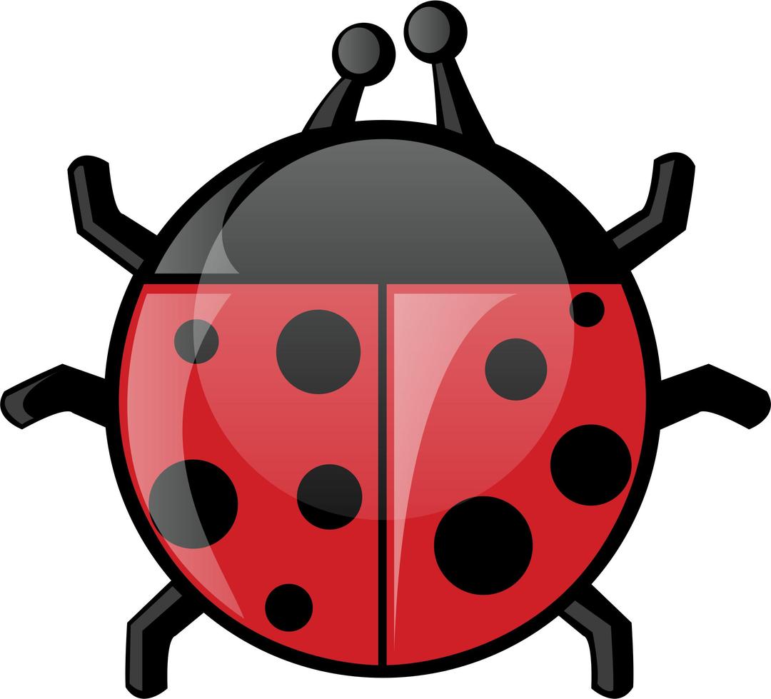 Ladybug png transparent
