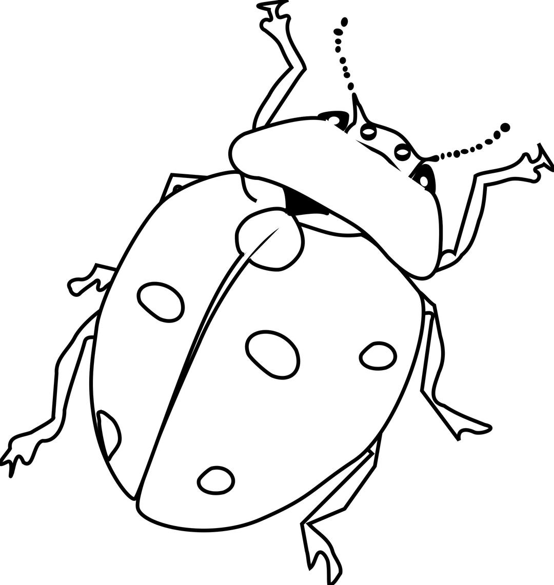 Ladybug Line Art png transparent