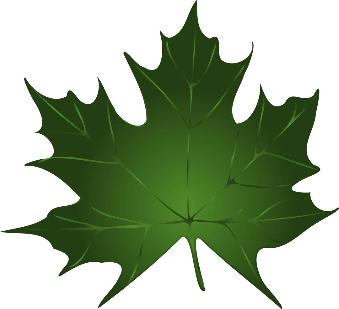 Lapas, maple leaf png transparent