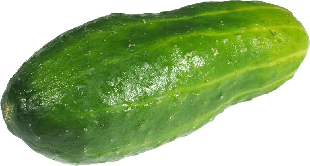Large Green Cucumber png transparent