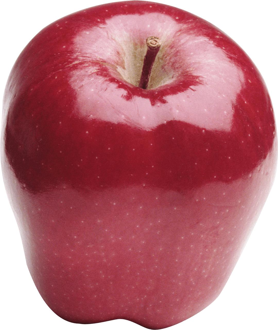 Large Red Apple png transparent