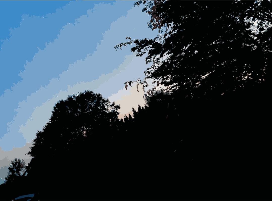 Late Afternoon in the Forest 3 png transparent