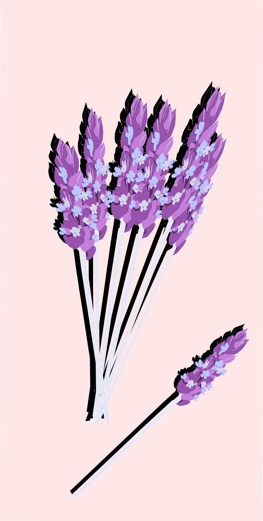 lavender02 png transparent