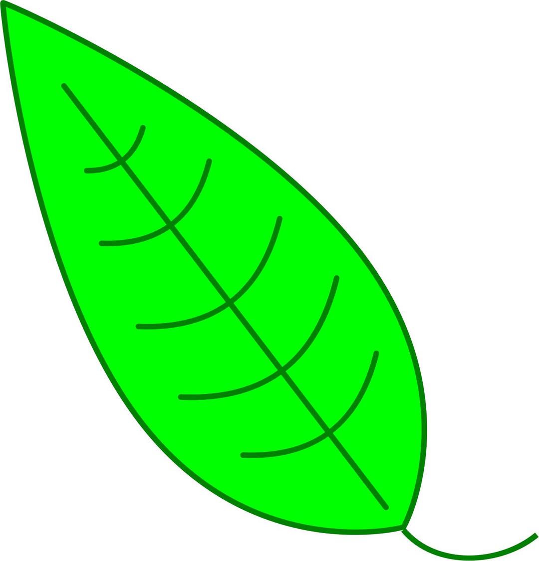Leaf - Green Simple Leaf png transparent