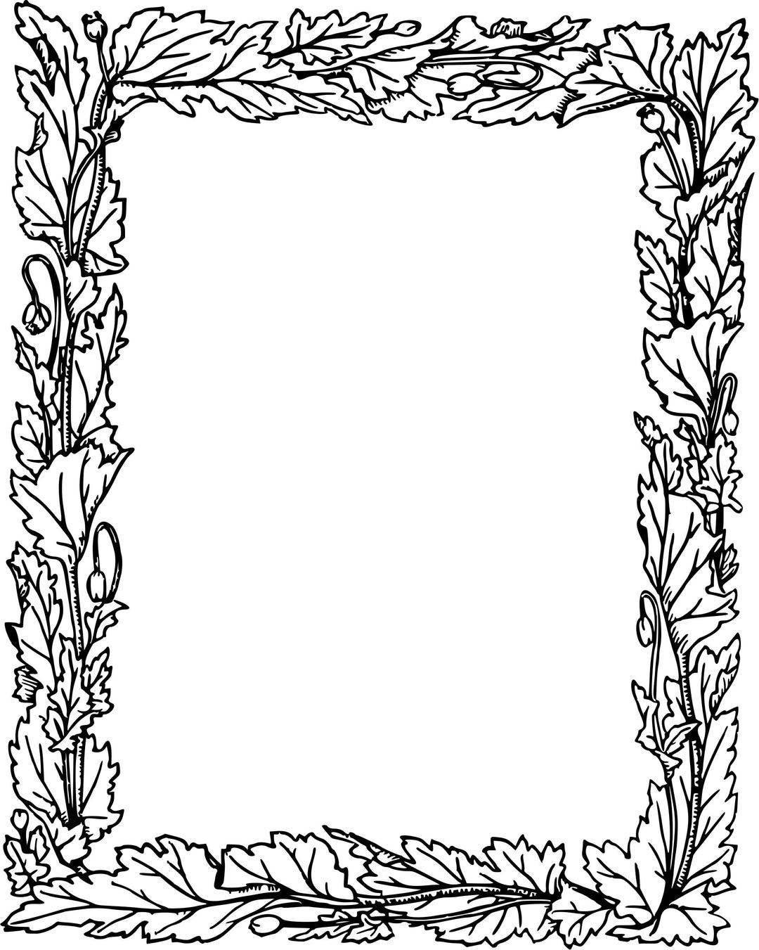 Leafy frame 3 png transparent